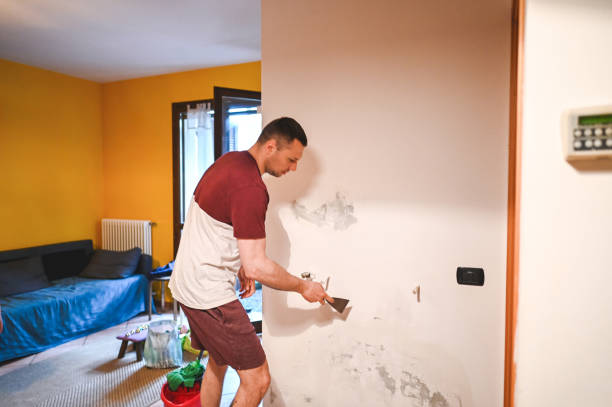 Best Fast Mold Removal  in Oceanport, NJ